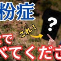 花粉症の症状を緩和するヨーグルトの食べるタイミングと効果を解説する武蔵小杉鍼灸接骨院の石丸院長