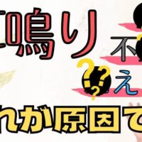 耳鳴りを悪化させる原因（冷え、不安、立ちすぎ）と改善のための豆類摂取を解説する石丸院長