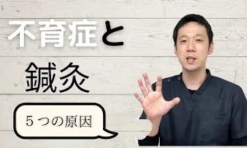不育症に悩む方に向けて、流産を防ぐための子宮の血流改善や五臓のバランス調整、ストレスが血の循環に与える影響を解説する石丸院長