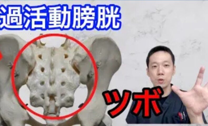 尿が十分に溜まっていなくても膀胱が勝手に収縮してしまう過活動膀胱を改善するために、加齢による腎タイプに効く仙骨のツボ（膀胱兪・中髎）や、ストレスによる肺タイプに効く腕のツボ（尺沢）の位置と温め方を解説する石丸院長