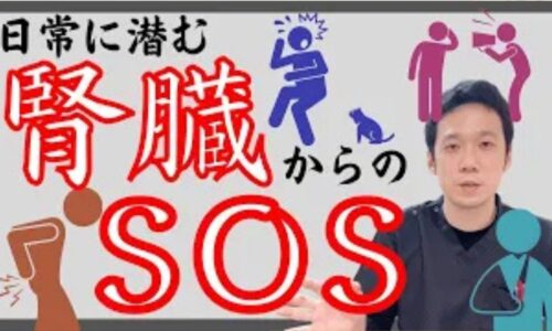 生命力の土台である腎臓(腎)が弱っている時に現れる5つのサイン(頻尿・耳鳴り・腰膝の脱力・口の渇き・不安感)を説明し、腎の機能を底上げする黒い食材の選び方と足の内くるぶし近くにあるツボ「太渓(たいけい)」の位置を解説する石丸院長