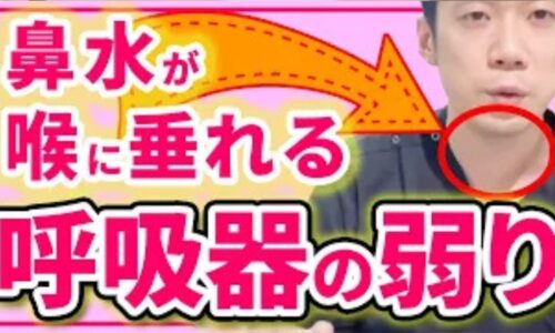 鼻水や痰が喉に張り付く後鼻漏の症状を改善するために、東洋医学の肺や脾（胃腸）のタイプ別の原因を解説し、排膿（膿出し）作用を持つホットの「赤なたまめ茶」の効能を説明する石丸院長