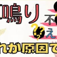 周囲で音が鳴っていないのに耳の中で雑音が響く耳鳴りの悪化要因として東洋医学で耳を司る「腎」の弱り(腎虚)を挙げ、足元の冷え・不安・長時間の立ちっぱなしという3つのNG行動と、腎の形に似た豆類を食べる食養生を解説する石丸院長